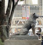 画像4: JIMOTOステッカー 渋谷 (4)