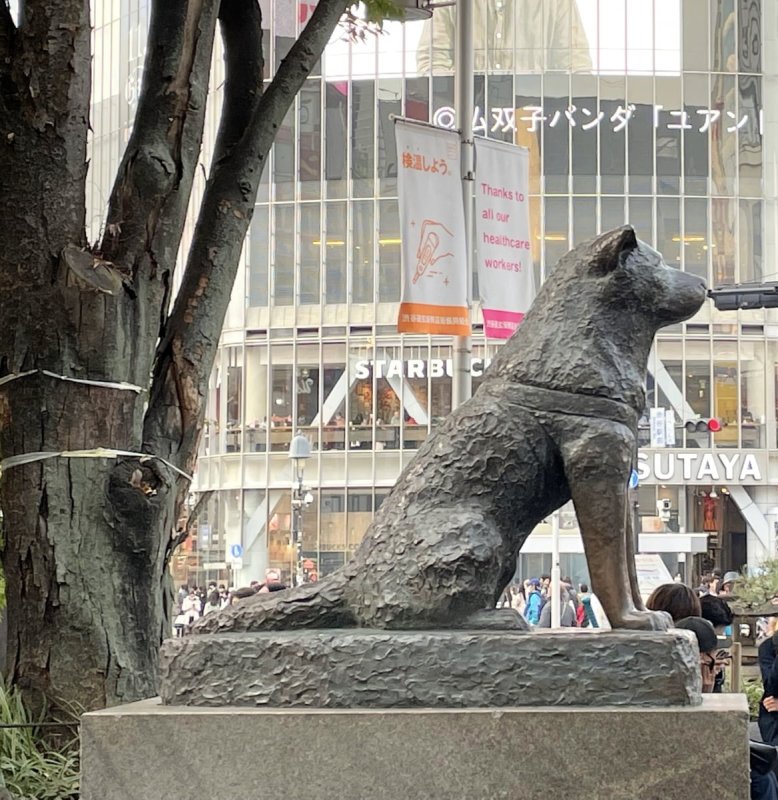 画像4: JIMOTOステッカー 渋谷 (4)